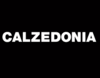 Logo Calzedonia